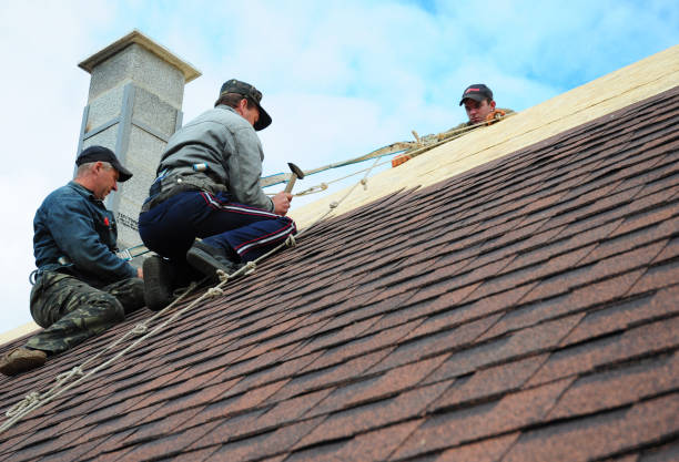 Best New Roof Installation  in Burbank, IL